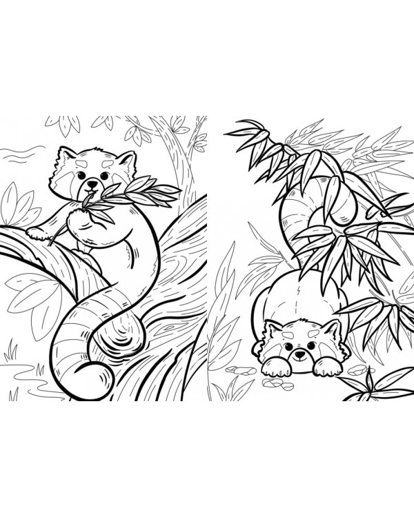 Я малая панда. (книга с раскрасками)