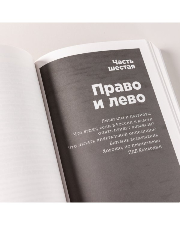 Россия в эпоху постправды. Здравый смысл против информационного шума