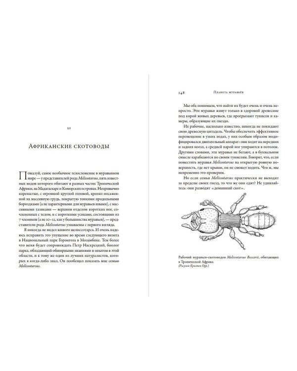 Планета муравьёв