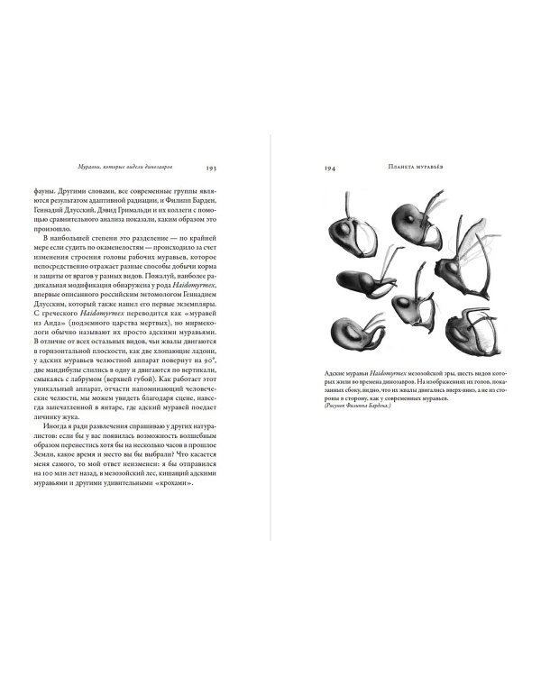 Планета муравьёв