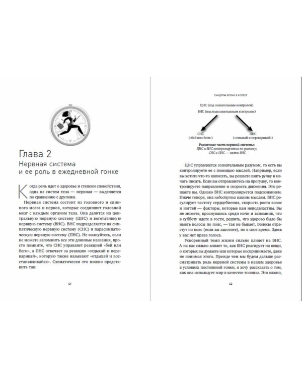 Синдром белки в колесе:Как сохранить здоровье и сберечь нервы в мире бесконечных дел