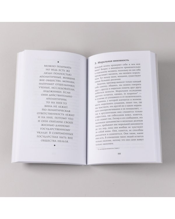 Вопрос о виновности. О политической ответственности Германии. Предисловие Николая Эппле