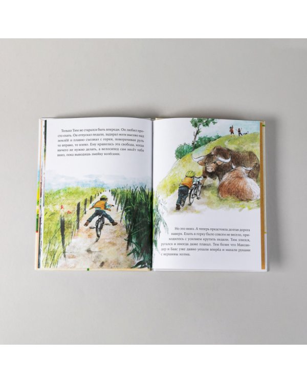 Дополнительное изображение книги «Как Тима укусила лошадь»