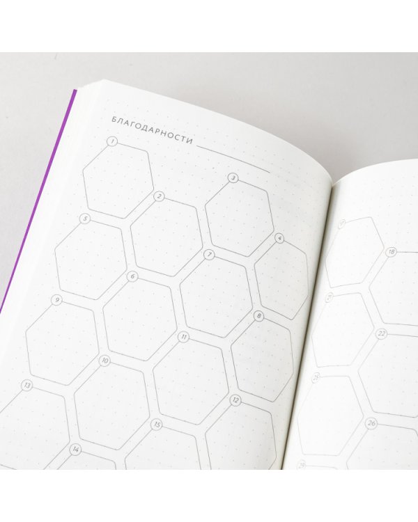 Visual planner. Цели. Мечты. Достижения.  Позитивный ежедневник от @lulyaka.blog