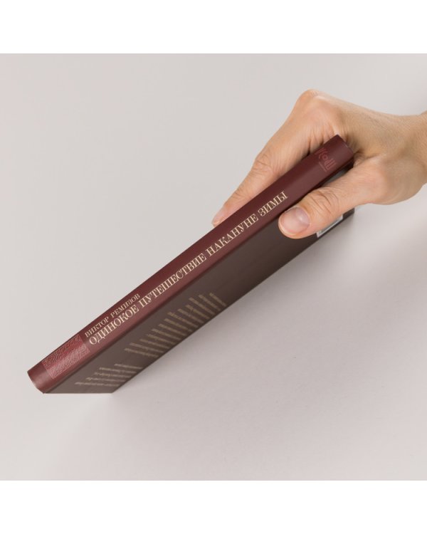 Одинокое путешествие накануне зимы