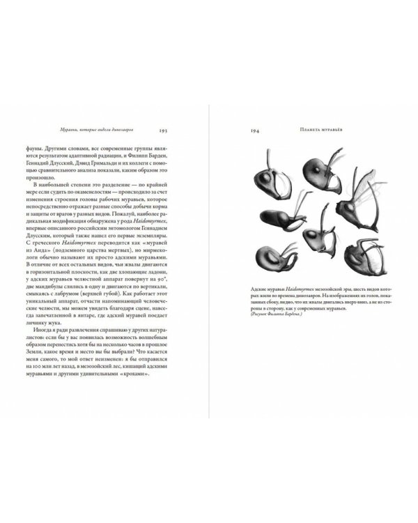 Планета муравьев