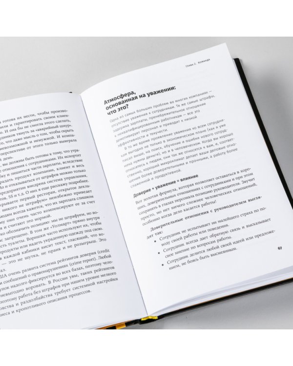 Бизнес в стиле «Макдоналдс». Как превратить вашу компанию в стабильно работающий механизм