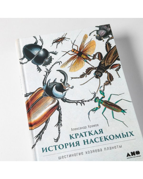 Краткая история насекомых. Шестиногие хозяева планеты