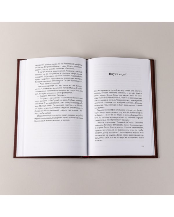 Одинокое путешествие накануне зимы