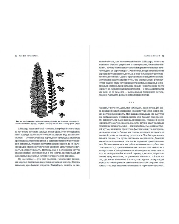 Краткая история насекомых. Шестиногие хозяева планеты