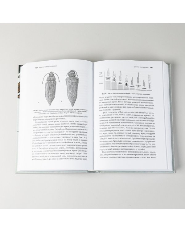 Краткая история насекомых. Шестиногие хозяева планеты