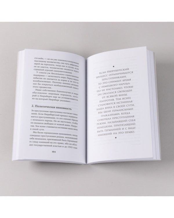 Вопрос о виновности. О политической ответственности Германии. Предисловие Николая Эппле