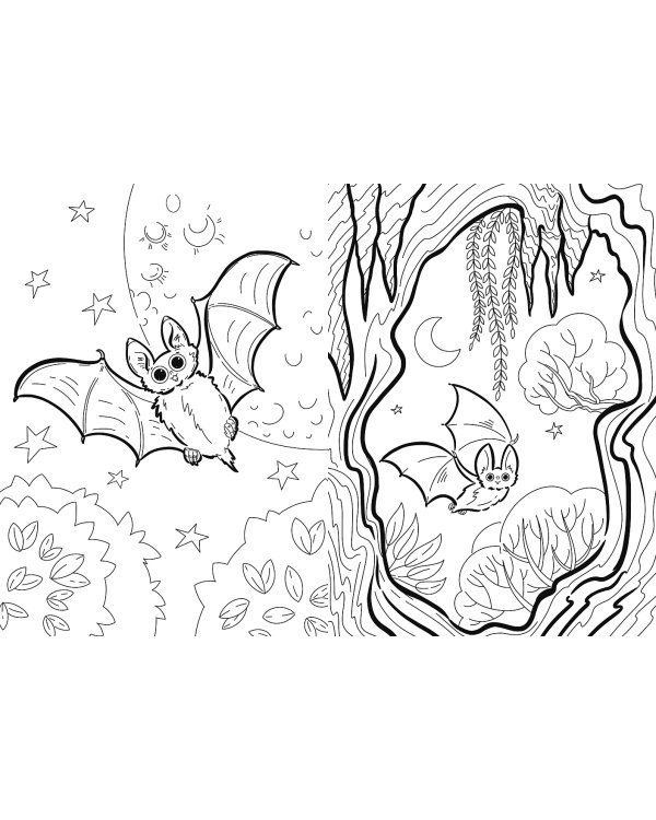Я летучая мышь. (книга с раскрасками)