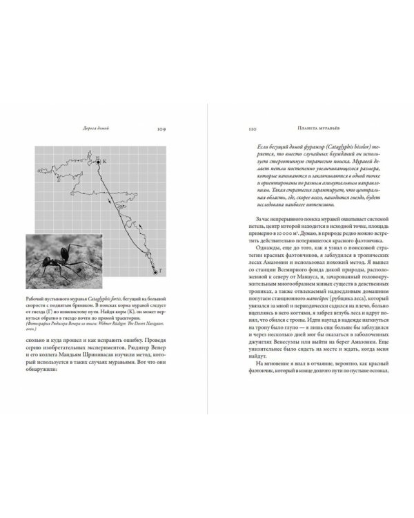 Планета муравьев