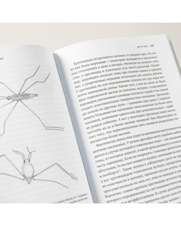Краткая история насекомых. Шестиногие хозяева планеты