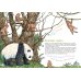 Я большая панда. (книга с раскрасками)