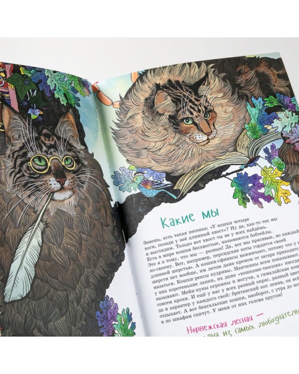 Я кот. (книга с раскрасками)