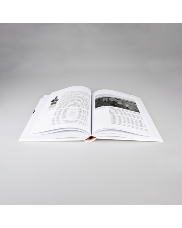 Вилы.Увидеть русский бунт