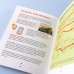Зажигалка, компас, нож. Навыки выживания в лесу для детей и подростков