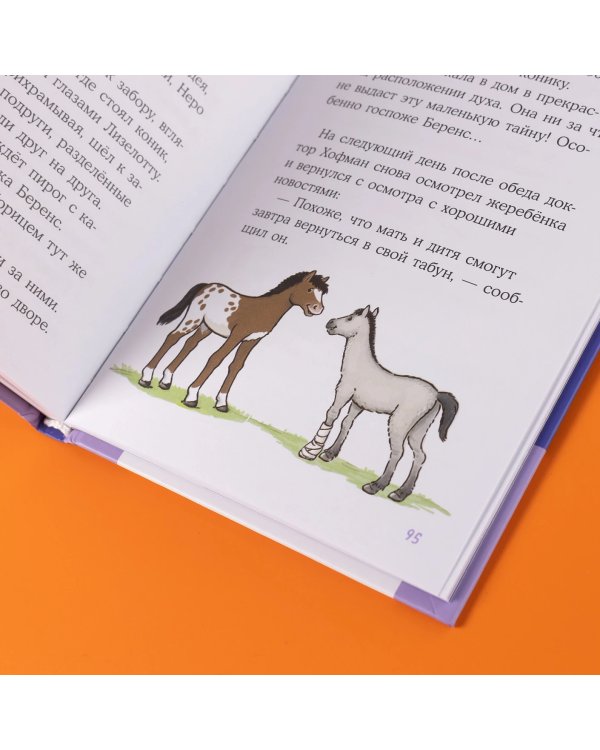 Дополнительное изображение книги «Конни и спасение диких лошадей»