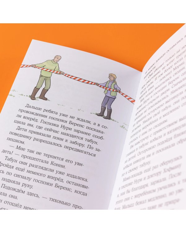 Дополнительное изображение книги «Конни и спасение диких лошадей»