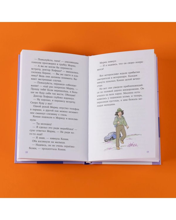 Дополнительное изображение книги «Конни и спасение диких лошадей»