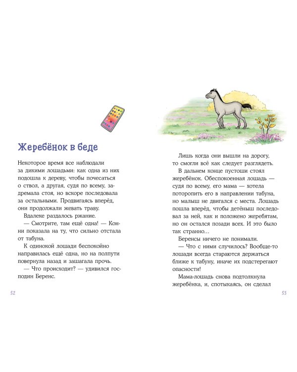 Дополнительное изображение книги «Конни и спасение диких лошадей»