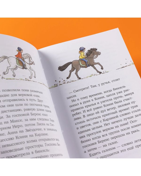 Дополнительное изображение книги «Конни и спасение диких лошадей»