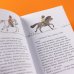 Дополнительное изображение книги «Конни и спасение диких лошадей»