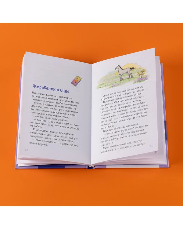 Дополнительное изображение книги «Конни и спасение диких лошадей»