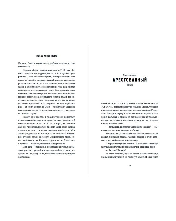 Дополнительное изображение книги «Сын ХАМАСа»