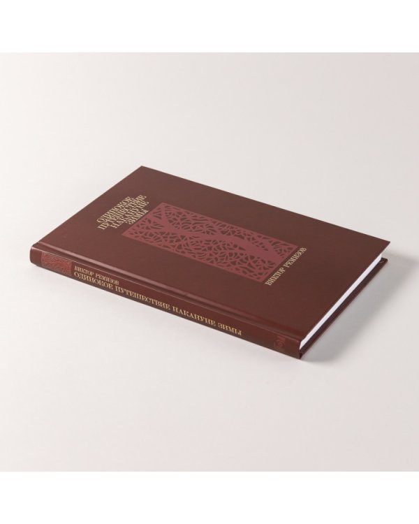 Одинокое путешествие накануне зимы