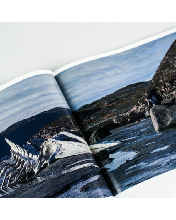 «Левиафан». Разбор по косточкам:. режиссер Андрей Звягинцев — о фильме кадр за кадром