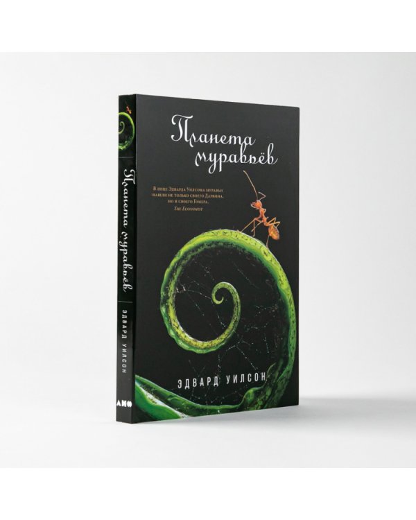 Планета муравьев