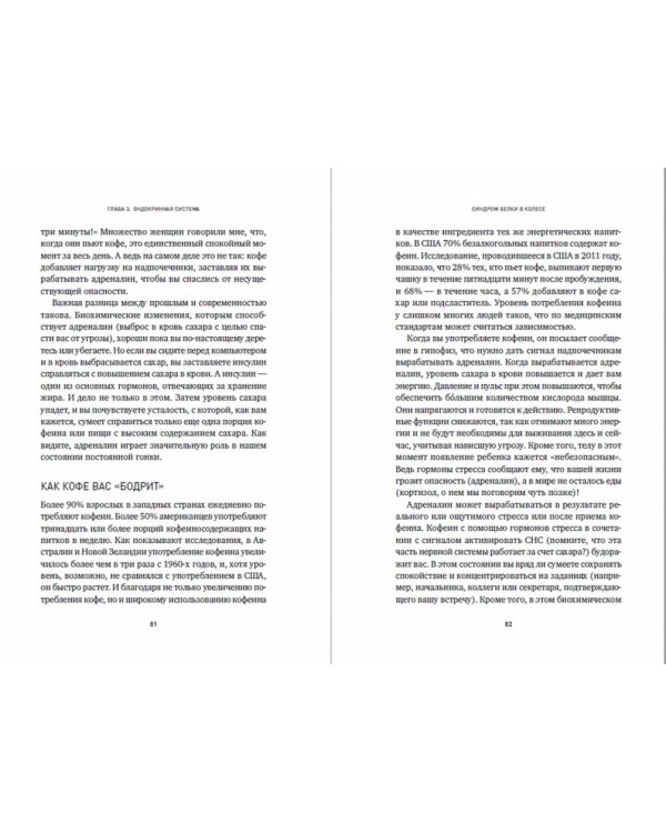 Синдром белки в колесе:Как сохранить здоровье и сберечь нервы в мире бесконечных дел