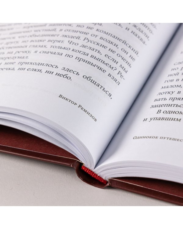 Одинокое путешествие накануне зимы