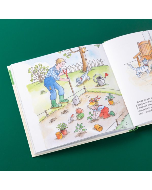 Большая книга приключений Конни. Семья