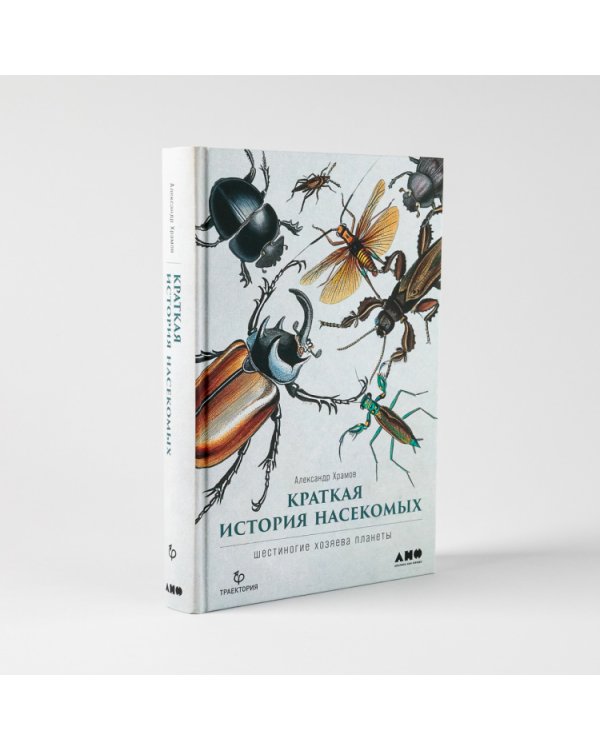 Краткая история насекомых. Шестиногие хозяева планеты