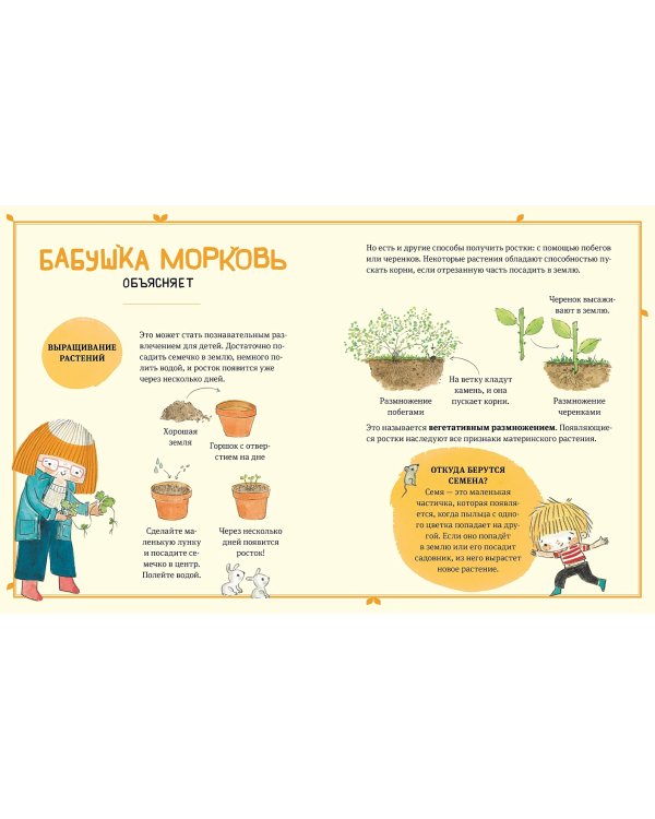 В саду Базилика. Как появляются новые растения?
