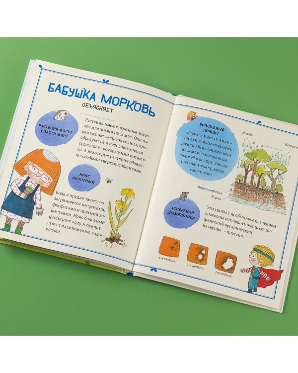 В саду Базилика. Растения обладают суперспособностями!