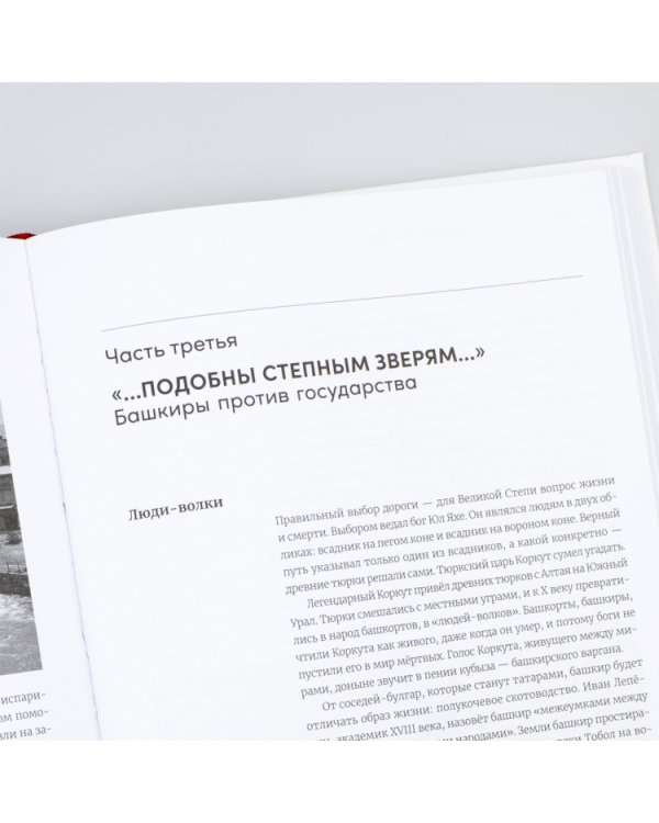 Вилы.Увидеть русский бунт