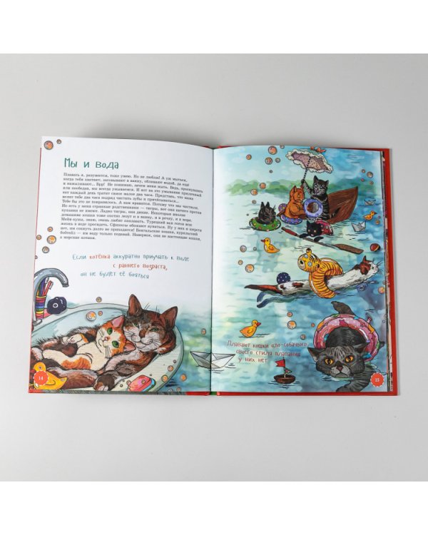 Я кот. (книга с раскрасками)