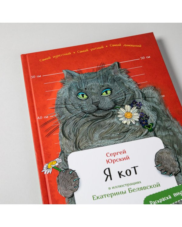 Я кот. (книга с раскрасками)