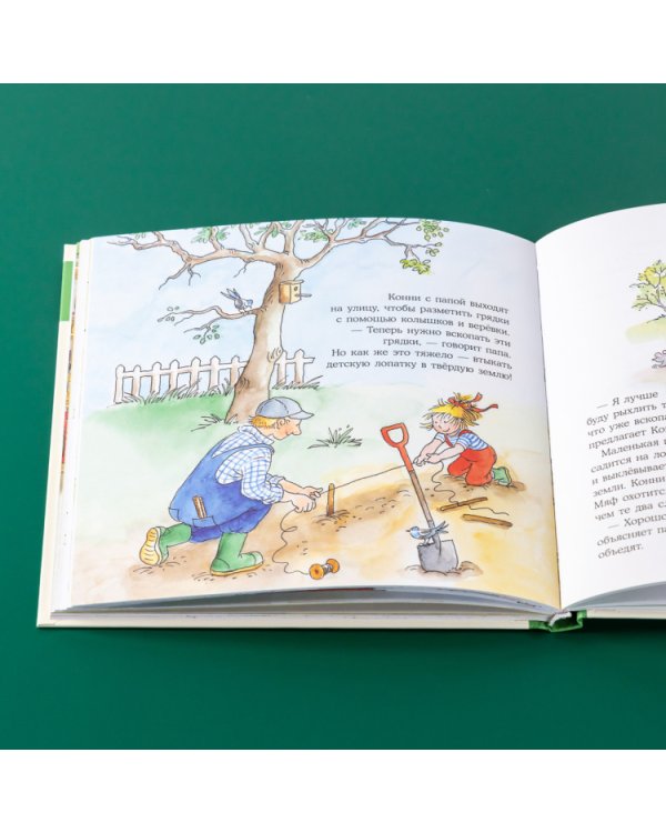 Большая книга приключений Конни. Семья