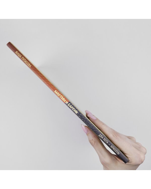 Мартын и Барсик.Два кота-красота!