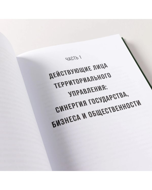 Гений места. Как альянс власти, бизнеса и сообщества меняет города