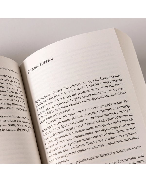 Дополнительное изображение книги «Ненастье»