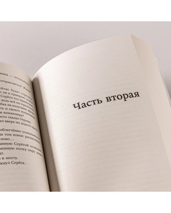 Дополнительное изображение книги «Ненастье»
