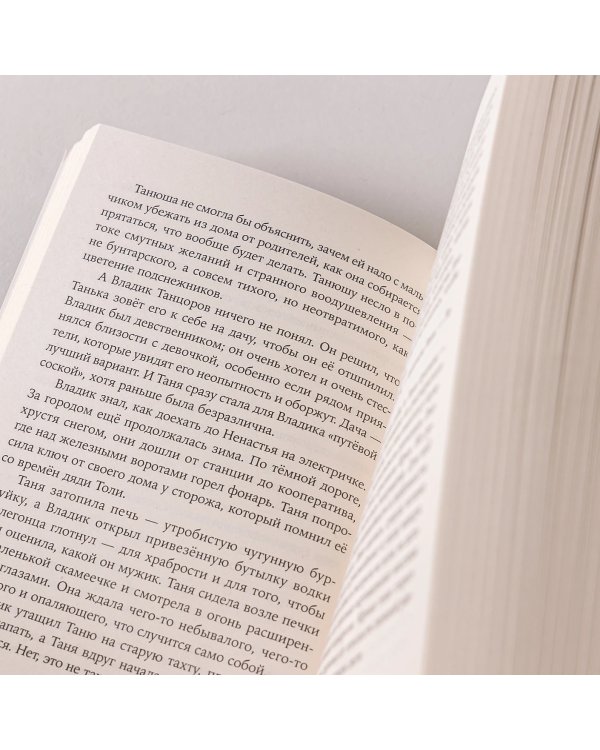 Дополнительное изображение книги «Ненастье»