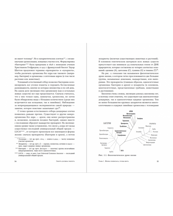 Смерть должна умереть.Наука в борьбе за наше бессмертие (черная обложка)